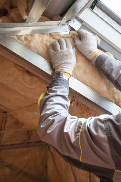 Types of Insulation We Offer in Mckinney, TX